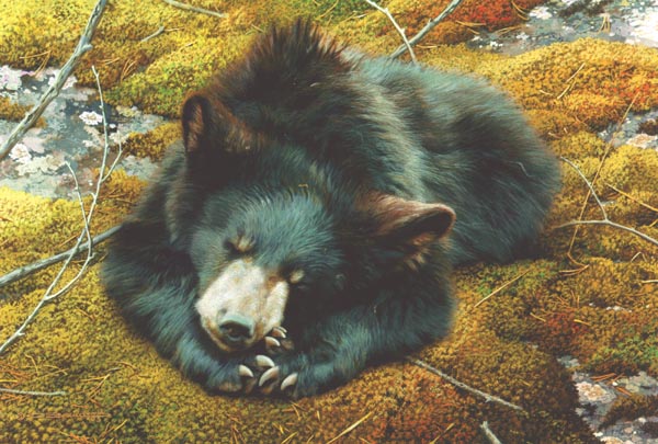 (image for) Handmade oil painting Copy paintings of famous artists Carl Brenders Paintings Bearly Asleep - Click Image to Close